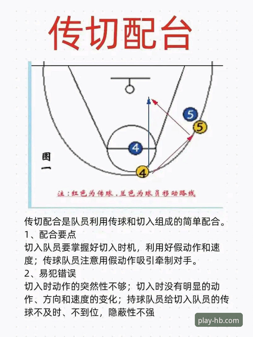 上海男篮12连胜背后的战术密码：火博体育平台深度复盘解析
